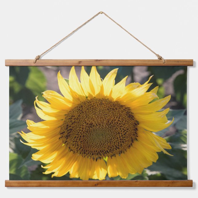 Wall Tapestry (Front)