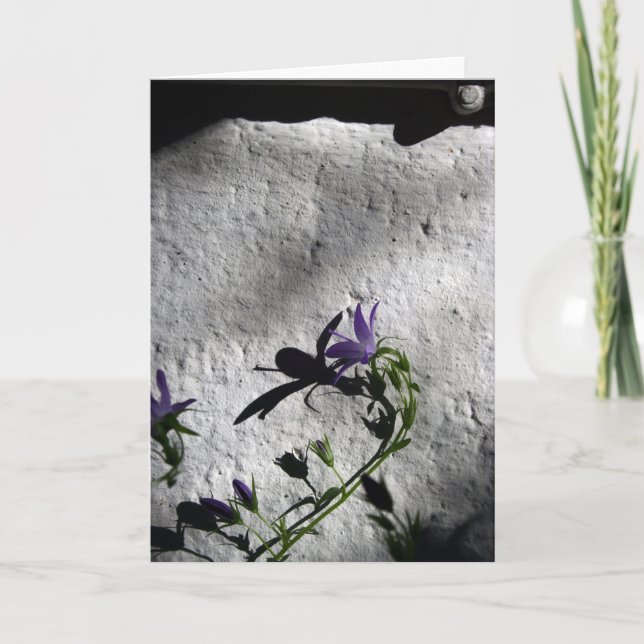 Wall with Bellflowers - Sympathy Cards (Front)