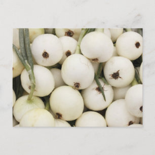 Walla Walla Sweet Onions Postcard