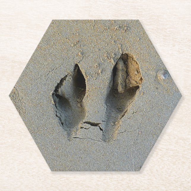 Wallaby Footprints in Sand Paper Coaster (Front)