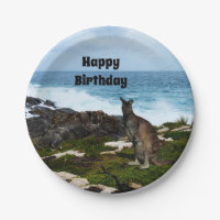 Wallaby On Seaside Rocks, Paper Plates