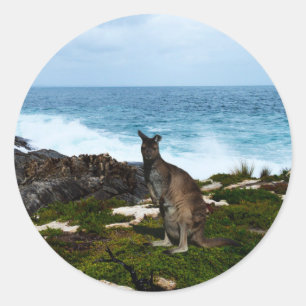 Wallaby On Seaside Rocks, Round Stickers