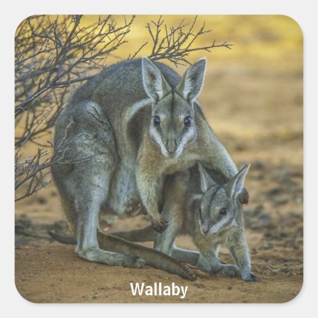 Wallaby with Baby Square Sticker (Front)