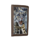 Wallet - clouded leopard (Side)