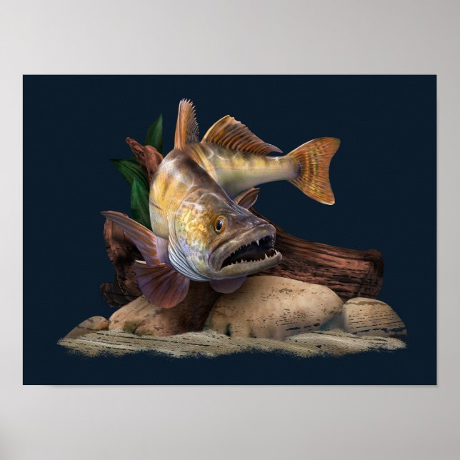 Walleye Fishing Illustration, Walleye Fisherman  Poster (Front)