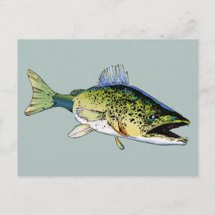 Walleye Postcard