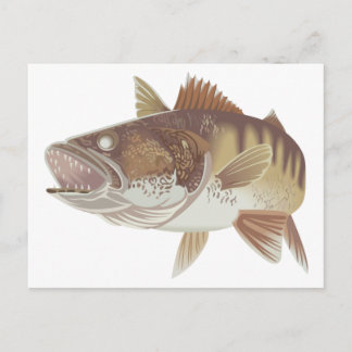 Walleye Postcard