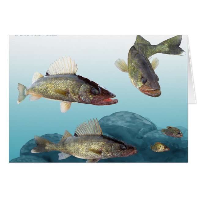 Walleye rocks (Front Horizontal)