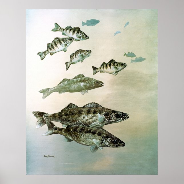 walleye yellow perch and pike canvas print (Front)