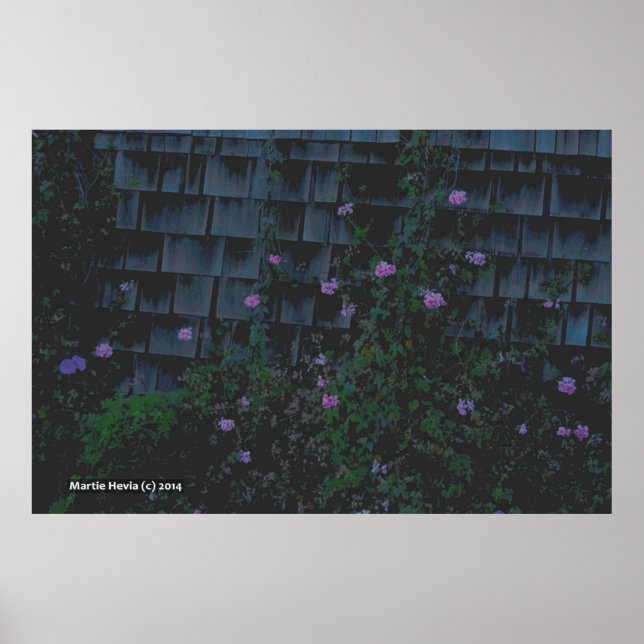 Wallflowers Poster (Front)