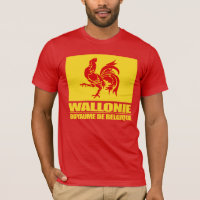 Walloon Region