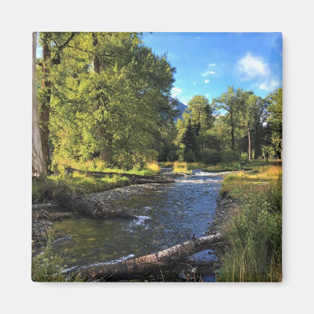 Wallowa Lake State Park, OR Magnet (Front)