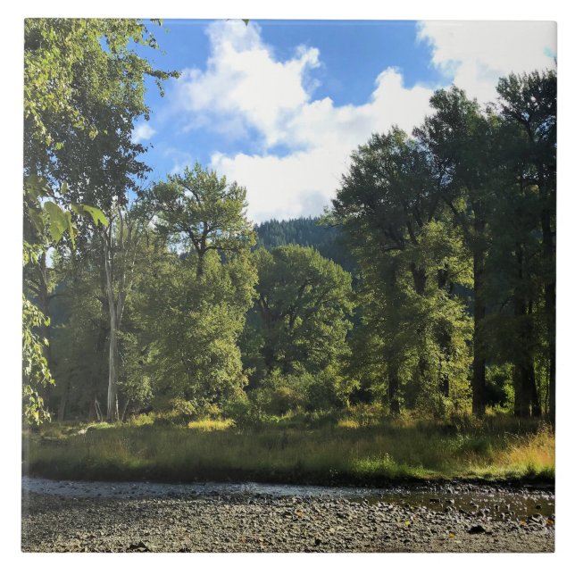 Wallowa Lake State Park, OR Tile (Front)