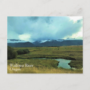 Wallowa River, Oregon Postcard