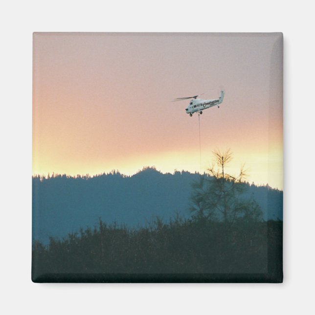 Wallows Fire of 2007... Magnet (Front)