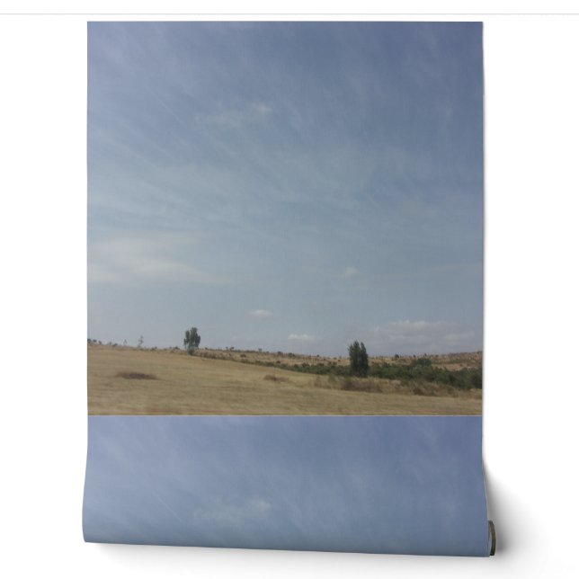 Wallpaper design style  (Unrolling)
