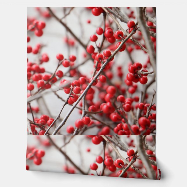 Wallpaper Wall Art, Wall Accents (Unrolling)