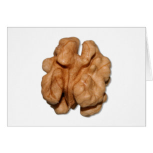 Walnut
