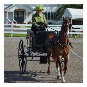 Walnut Hill Carriage Driving Horse Show Poster