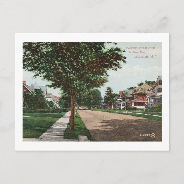 Walnut St., Montclair, NJ Vintage Postcard (Front)
