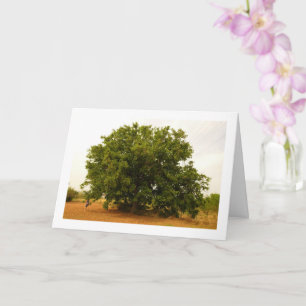 Walnut Tree Landscape Card