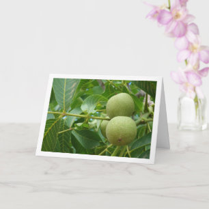Walnut Tree Portrait Card