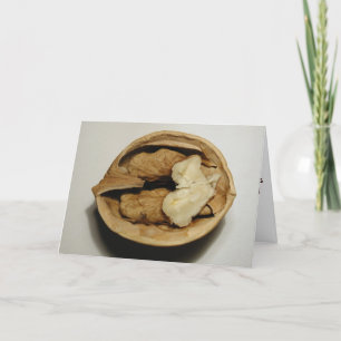 Walnuts greeting card