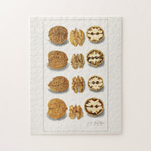 Walnuts (Juglans) Fruit Watercolor Painting Jigsaw Puzzle
