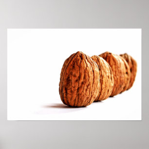 Walnuts on White Poster