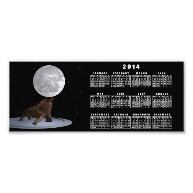 Walrus Balancing The Moon Photo Print (Front)