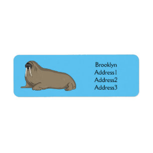 Walrus cartoon illustration
