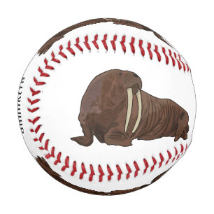 Walrus cartoon illustration baseball