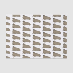 Walrus cartoon illustration tissue paper