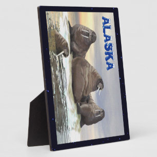 Walrus - Four Brothers Plaque