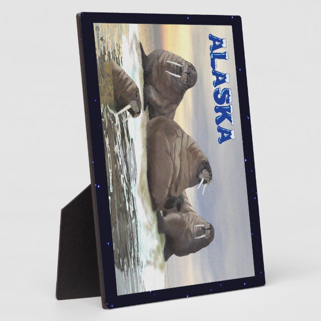 Walrus - Four Brothers Plaque (Side)