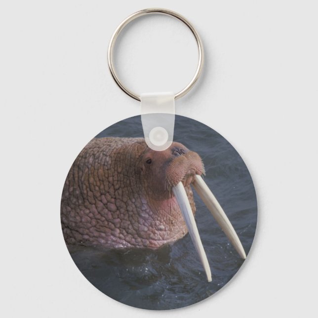 Walrus Key Ring (Front)