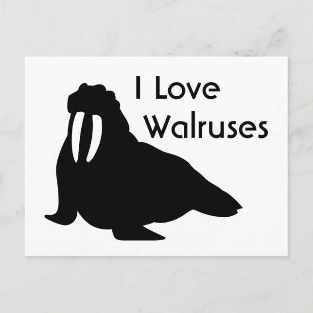 Walrus Love Postcard (Front)