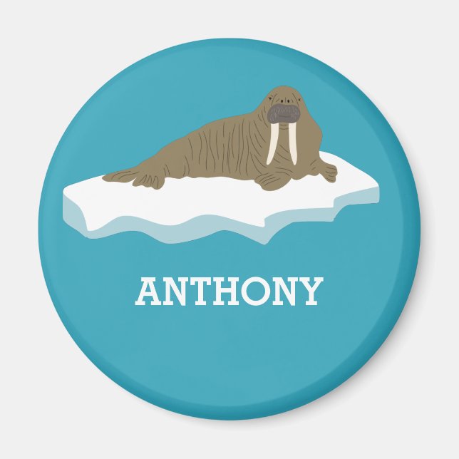 Walrus on an Iceberg Illustration Personalised Magnet (Front)