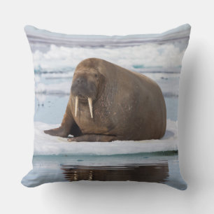 Walrus resting on ice, Norway Cushion