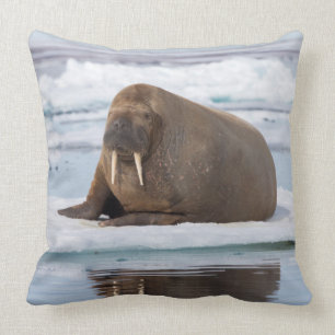 Walrus resting on ice, Norway Cushion