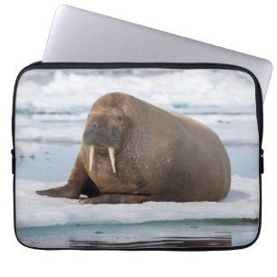 Walrus resting on ice, Norway Laptop Sleeve
