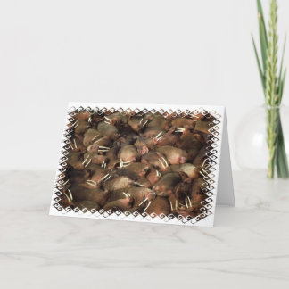 Walruses Greeting Card