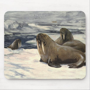 Walruses in the Arctic Snow, Vintage Marine Animal Mouse Pad