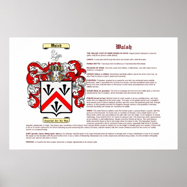Walsh (meaning) poster (Front)