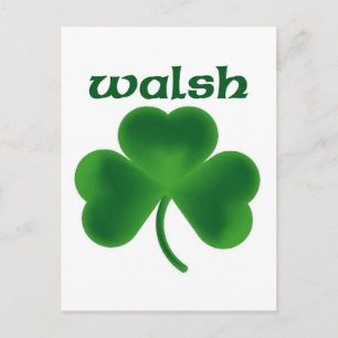Walsh Shamrock Postcard