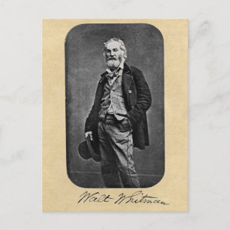 Walt Whitman Age 41 Portrait Postcard