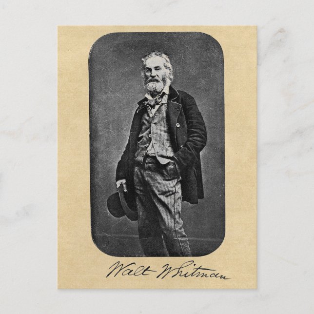 Walt Whitman Age 41 Portrait Postcard (Front)