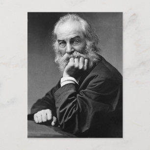 Walt Whitman "Face Always Towards the Sunshine" Postcard