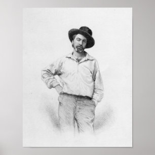 Walt Whitman, frontispiece to 'Leaves of Poster