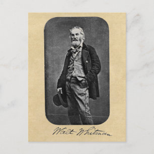 Walt Whitman Leaves of Grass Frontispiece Postcard